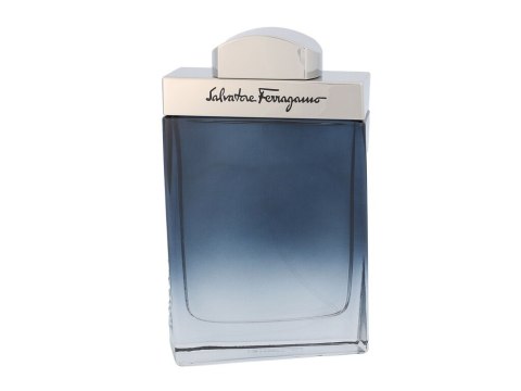 Salvatore Ferragamo Subtil Pour Homme Woda toaletowa 100 ml (M) (P2)