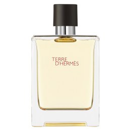 Hermes Terre D'Hermes woda toaletowa spray 100ml (P1)