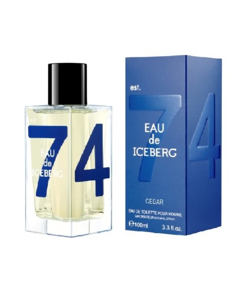 Iceberg Eau de Iceberg Cedar EDT 100ml (M) (P2)