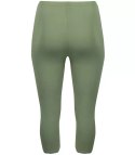 Klasyczne legginsy bezszwowe 3/4 plus size (Zielony) 6XL (52)